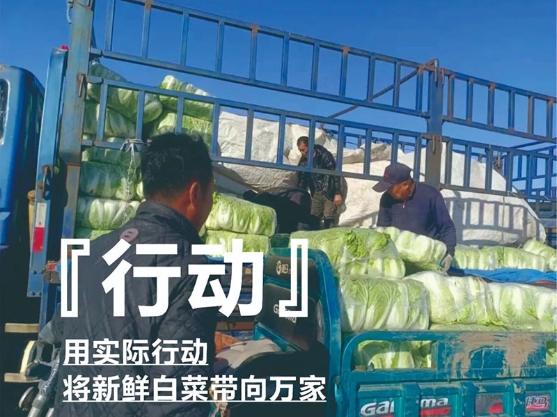 爱心助农，，，，，，97国际在行动