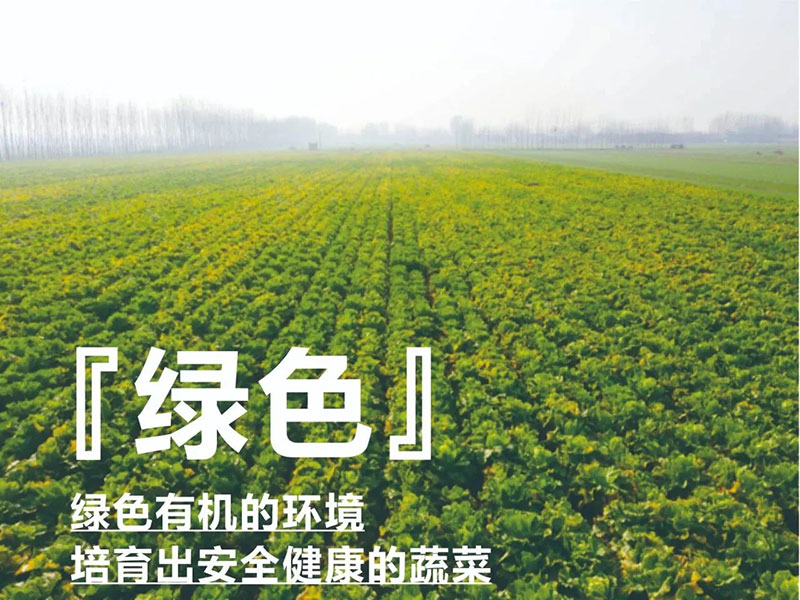 爱心助农，，，，，，97国际在行动