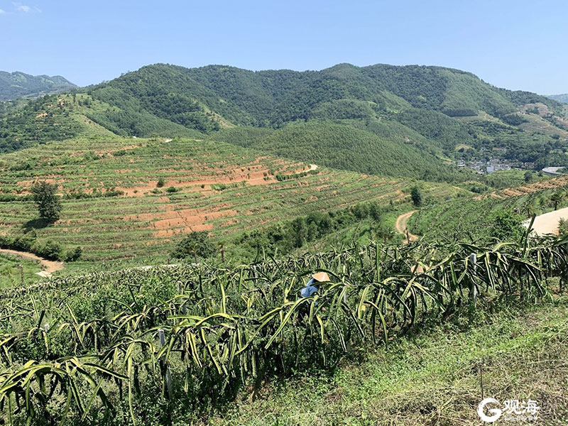 积极参与青岛市扶贫协作活动